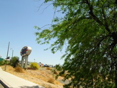DSCN0882.JPG
