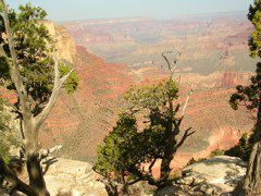 DSCN0645.JPG