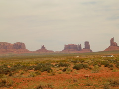 DSCN0682.JPG