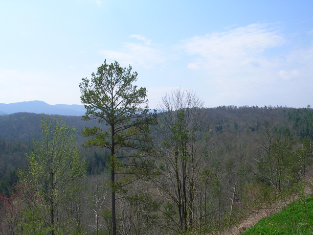 DSCN1256.JPG