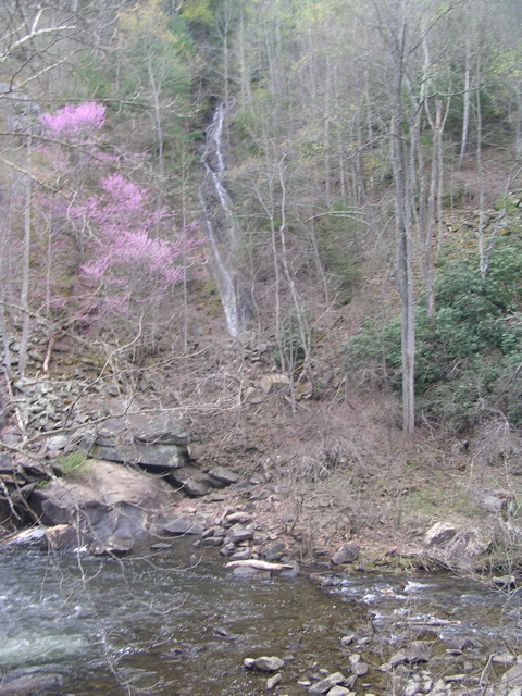 DSCN0002.JPG