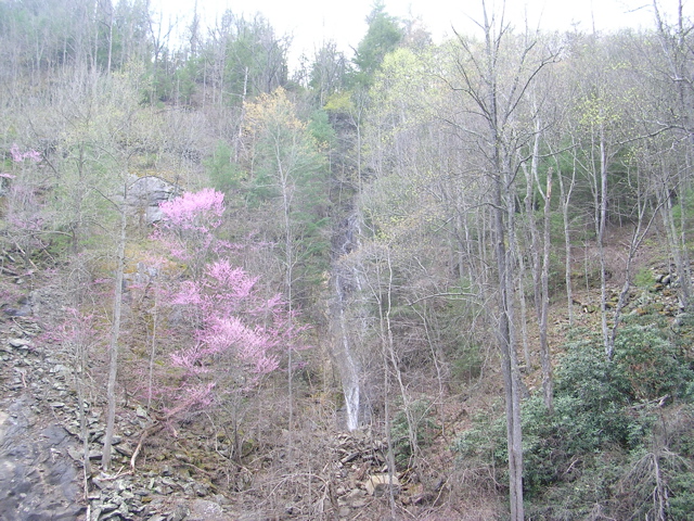 DSCN0004.JPG