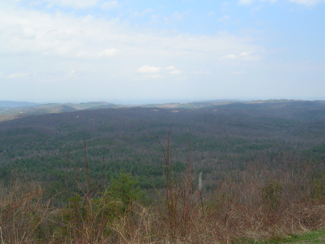 DSCN1259.JPG