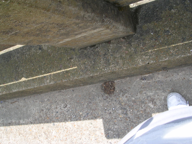 DSCN1284.JPG