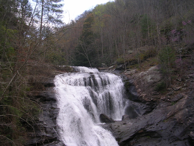 DSCN0001.JPG