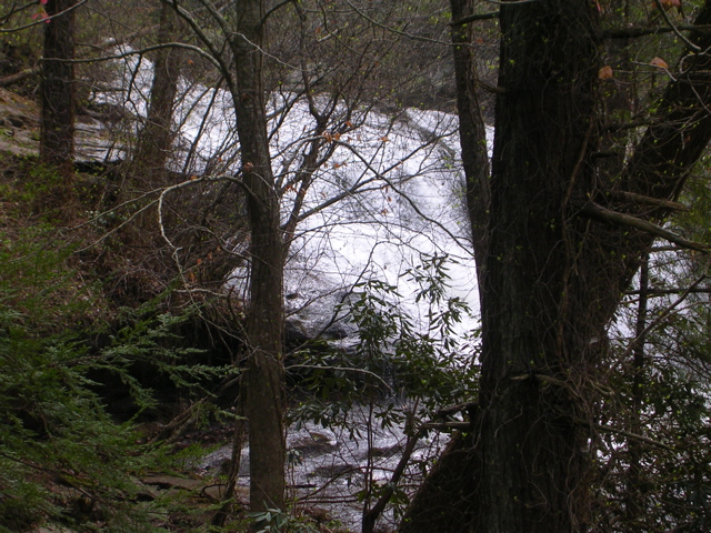 DSCN1293.JPG