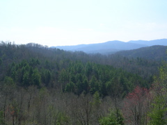 DSCN1255.JPG