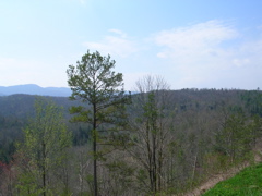 DSCN1256.JPG