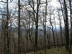 DSCN1270.JPG