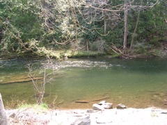 DSCN1271.JPG