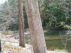 DSCN1272.JPG