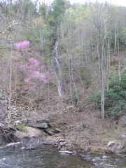 DSCN0001.JPG