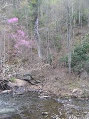 DSCN0002.JPG