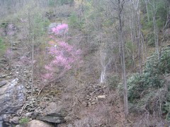 DSCN1279.JPG