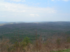 DSCN1259.JPG