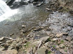 DSCN1282.JPG