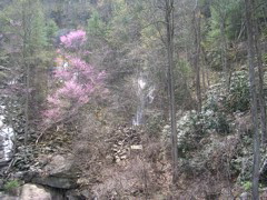 DSCN1283.JPG
