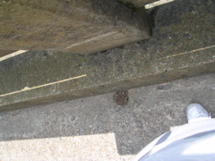 DSCN1284.JPG