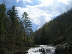 DSCN0001.JPG