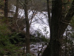 DSCN1293.JPG