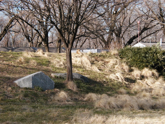PC290971.JPG