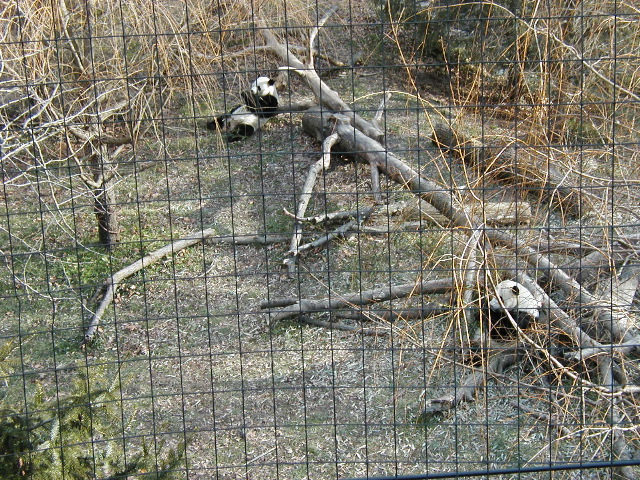 PC290973.JPG