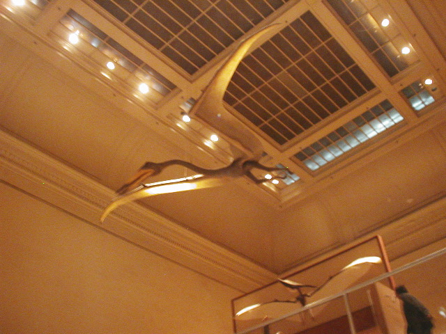 PC270929.JPG