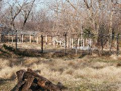 PC290972.JPG