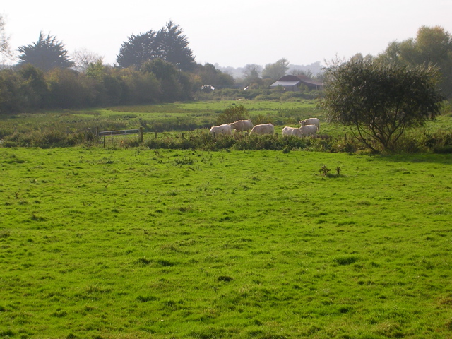 DSCN2281.JPG