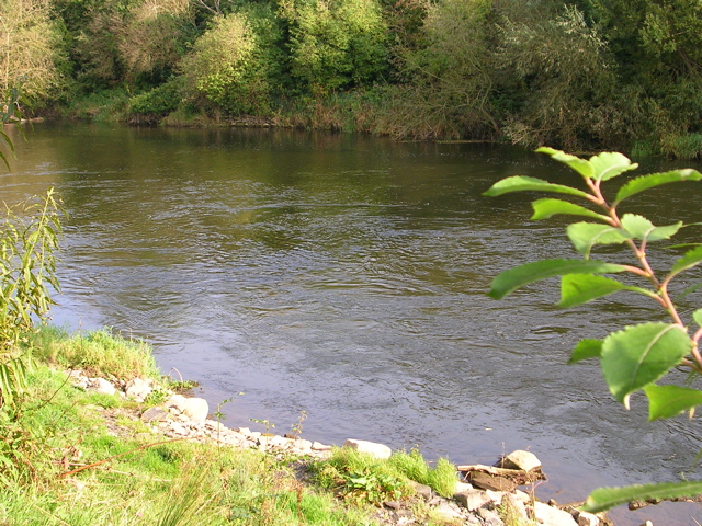 DSCN2283.JPG