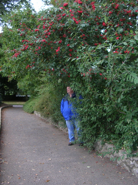 Day 2 Malahide Castle