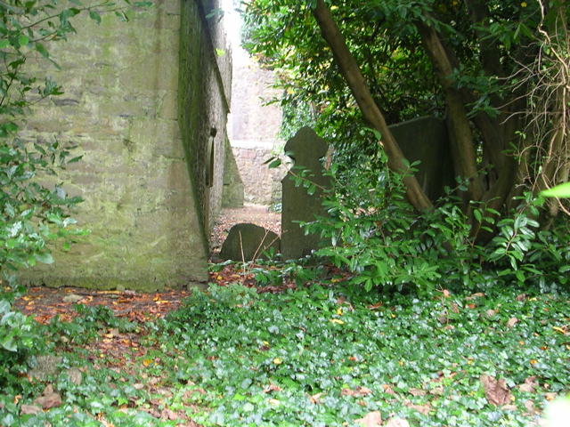 DSCN2315.JPG