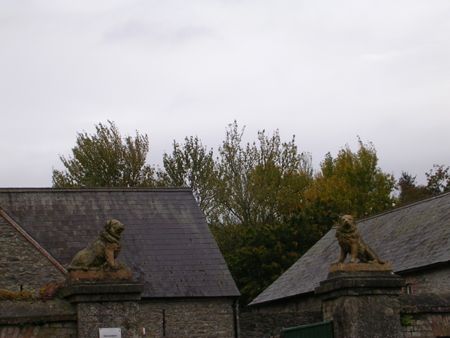 DSCN2322.JPG
