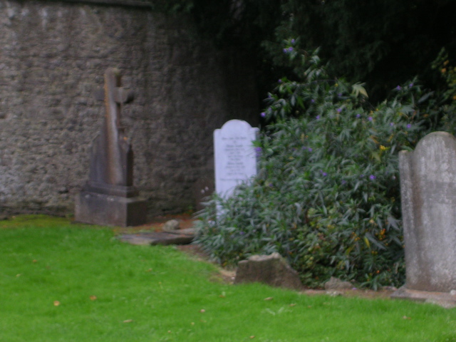 DSCN2323.JPG