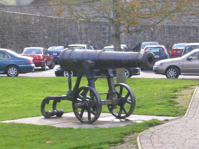 Trim Castle in Trim