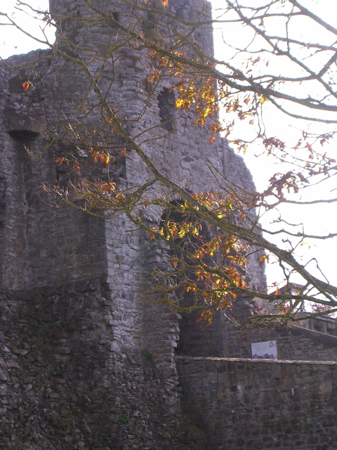 DSCN2334.JPG