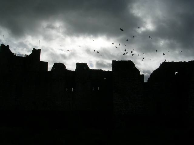 DSCN0005.JPG