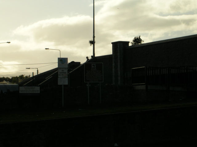 DSCN2366.JPG