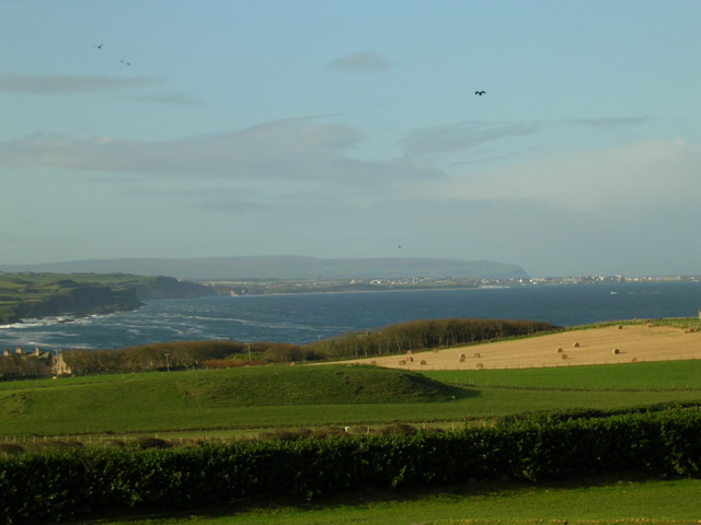 DSCN2388.JPG