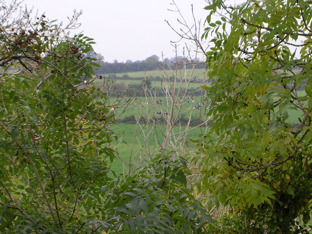 DSCN2151.JPG