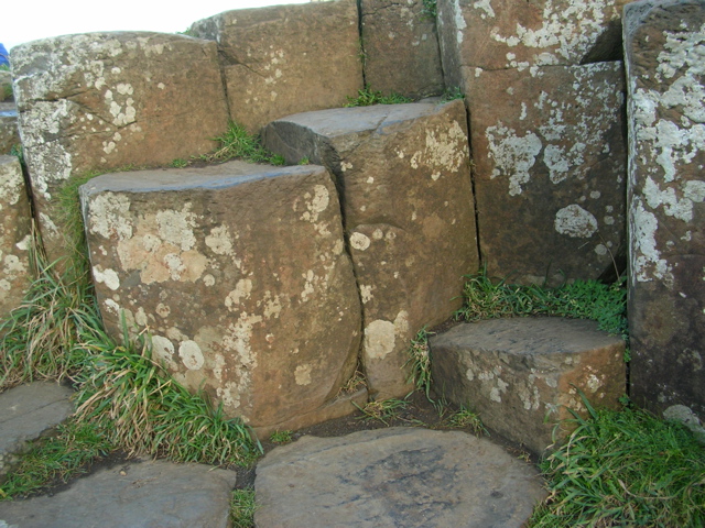 DSCN2406.JPG
