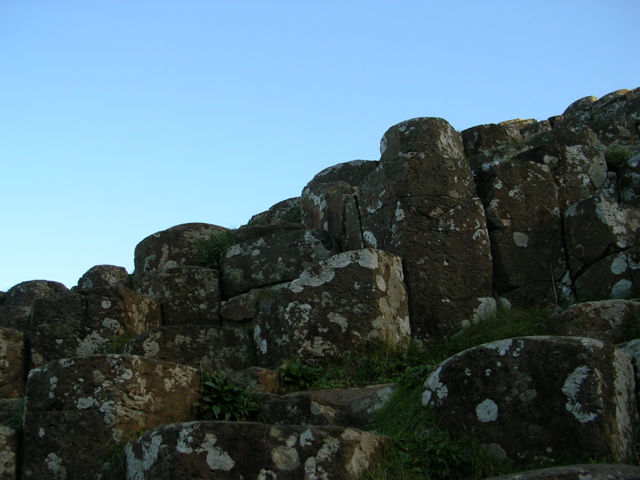 DSCN2407.JPG