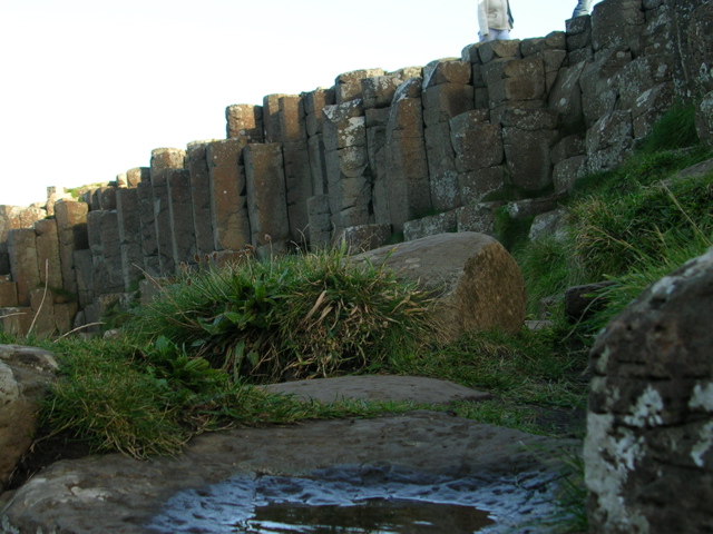 DSCN2411.JPG