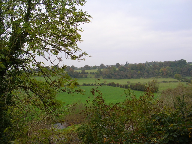 DSCN2154.JPG