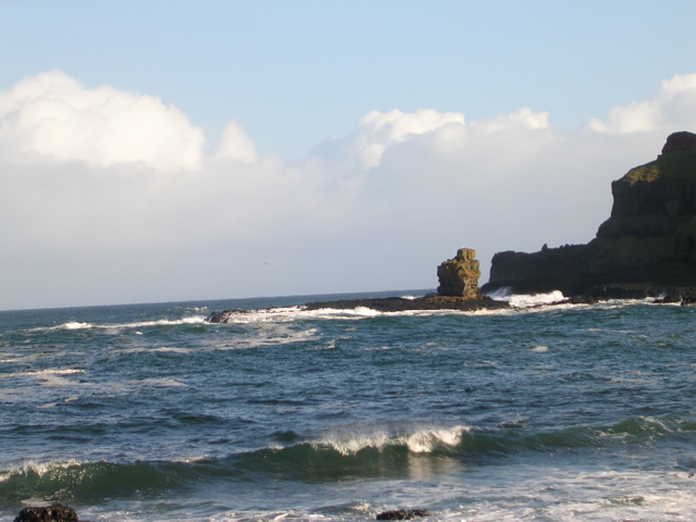 DSCN2428.JPG