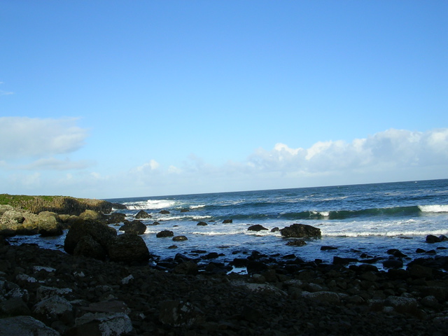 DSCN2435.JPG