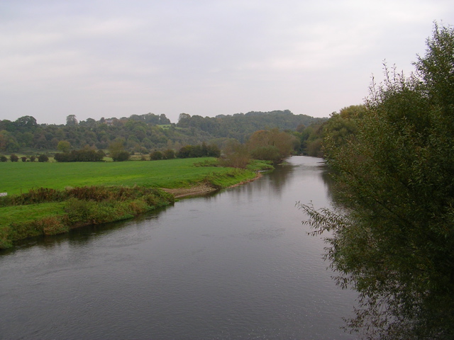 DSCN2156.JPG