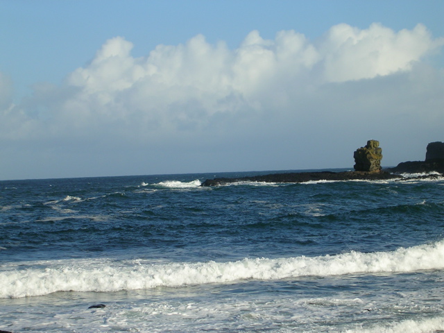 DSCN2442.JPG