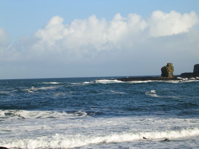 DSCN2443.JPG