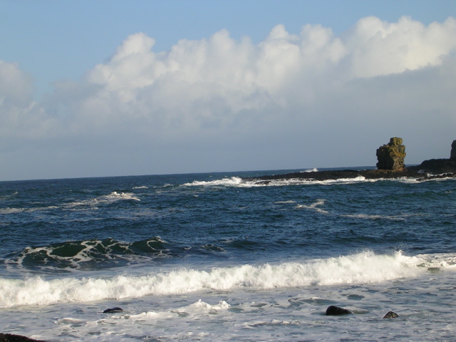 DSCN2444.JPG